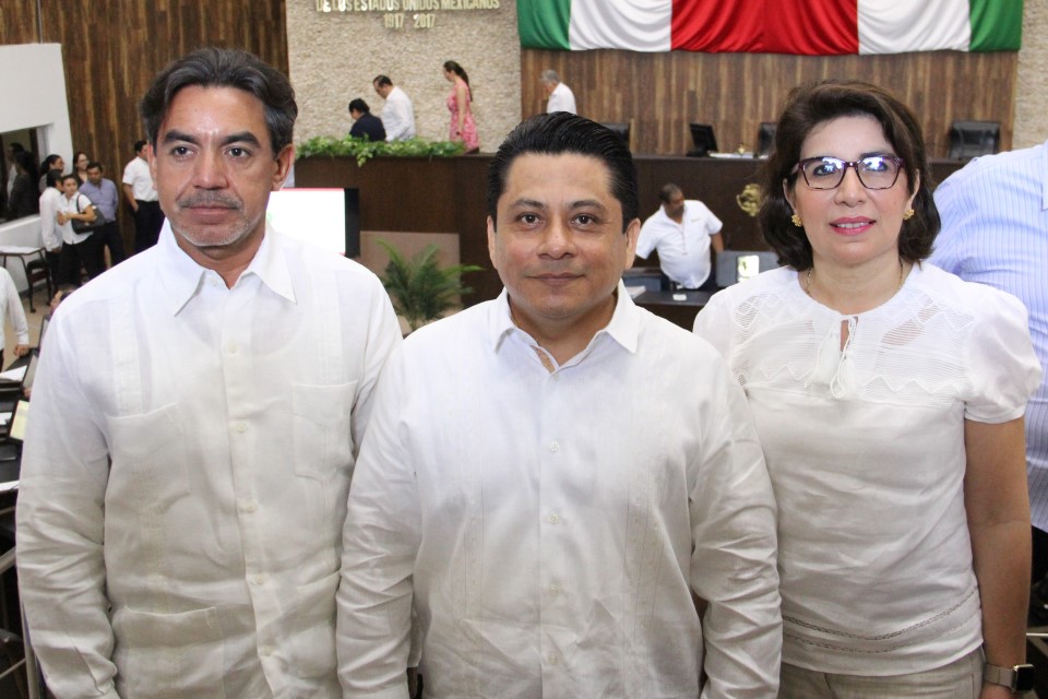 El Pleno del Inaip Yucatán está conformado por los comisionados Aldrin Briceño Conrado como presidente, María Eugenia Sansores Ruz y Carlos Pavón Durán.
