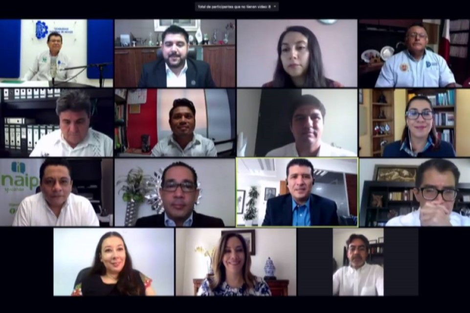 Instaló Inaip Yucatán Red local de socialización del DAI, edición 2020