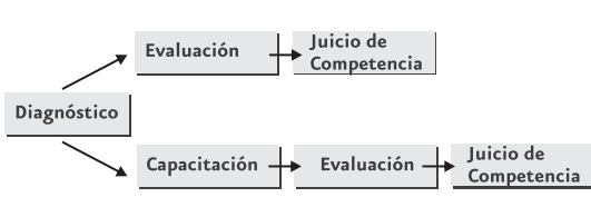 Proceso de evaluación de competencias